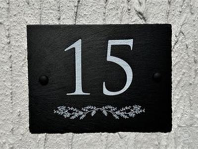 Picture 13